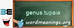 WordMeaning blackboard for genus tupaia